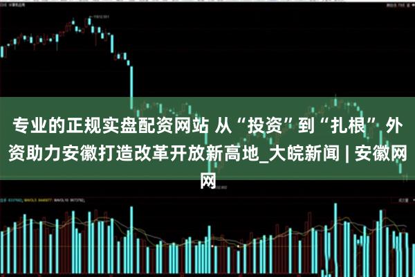 专业的正规实盘配资网站 从“投资”到“扎根” 外资助力安徽打造改革开放新高地_大皖新闻 | 安徽网